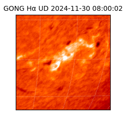 gong - 2024-11-30T08:00:02