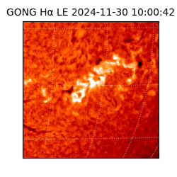 gong - 2024-11-30T10:00:42