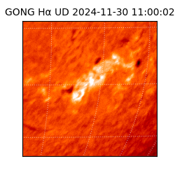 gong - 2024-11-30T11:00:02