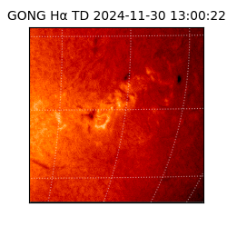 gong - 2024-11-30T13:00:22