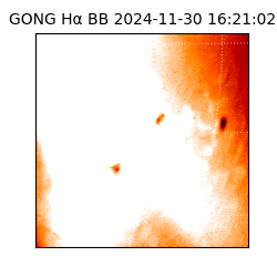 gong - 2024-11-30T16:21:02