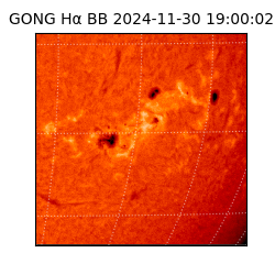gong - 2024-11-30T19:00:02