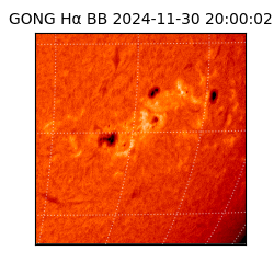 gong - 2024-11-30T20:00:02