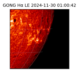 gong - 2024-11-30T01:00:42