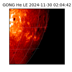 gong - 2024-11-30T02:04:42