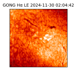 gong - 2024-11-30T02:04:42