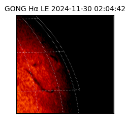 gong - 2024-11-30T02:04:42