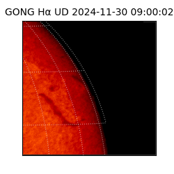 gong - 2024-11-30T09:00:02