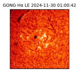 gong - 2024-11-30T01:00:42