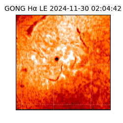 gong - 2024-11-30T02:04:42