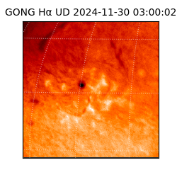 gong - 2024-11-30T03:00:02