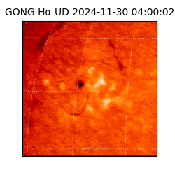 gong - 2024-11-30T04:00:02