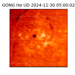 gong - 2024-11-30T05:00:02