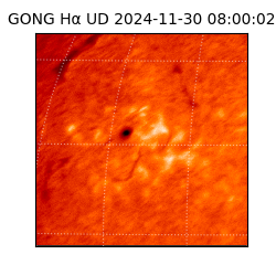 gong - 2024-11-30T08:00:02