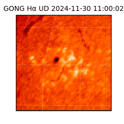 gong - 2024-11-30T11:00:02