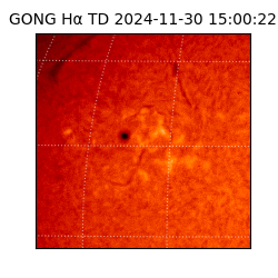 gong - 2024-11-30T15:00:22