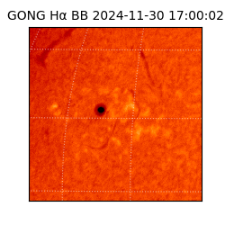 gong - 2024-11-30T17:00:02