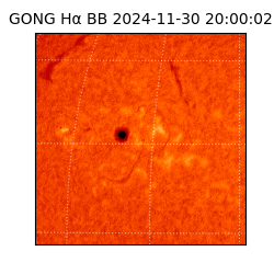 gong - 2024-11-30T20:00:02