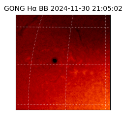 gong - 2024-11-30T21:05:02