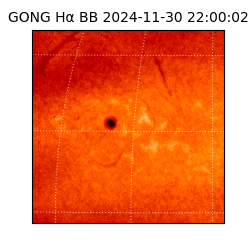 gong - 2024-11-30T22:00:02