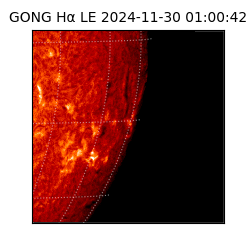 gong - 2024-11-30T01:00:42