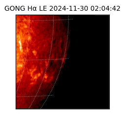 gong - 2024-11-30T02:04:42