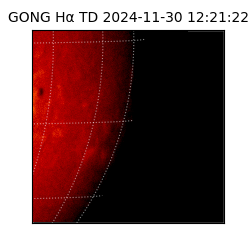 gong - 2024-11-30T12:21:22