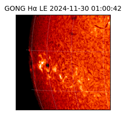 gong - 2024-11-30T01:00:42