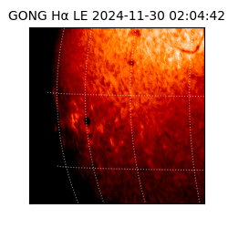 gong - 2024-11-30T02:04:42