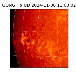 gong - 2024-11-30T11:00:02