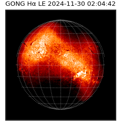 gong - 2024-11-30T02:04:42