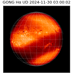 gong - 2024-11-30T03:00:02