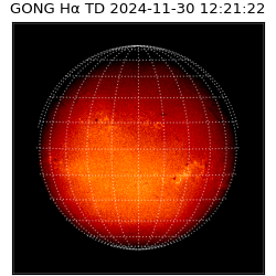 gong - 2024-11-30T12:21:22