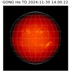 gong - 2024-11-30T14:00:22