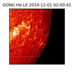 gong - 2024-12-01T02:00:42