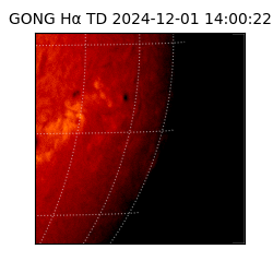 gong - 2024-12-01T14:00:22