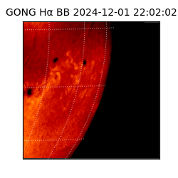 gong - 2024-12-01T22:02:02