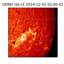 gong - 2024-12-01T02:00:42