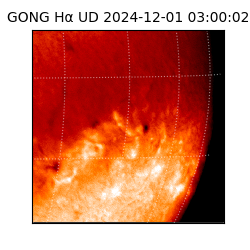 gong - 2024-12-01T03:00:02