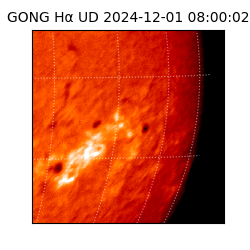 gong - 2024-12-01T08:00:02