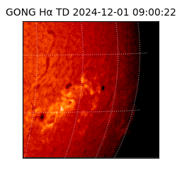 gong - 2024-12-01T09:00:22