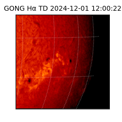 gong - 2024-12-01T12:00:22