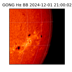 gong - 2024-12-01T21:00:02