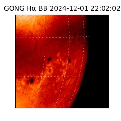 gong - 2024-12-01T22:02:02