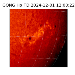 gong - 2024-12-01T12:00:22