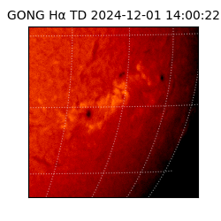 gong - 2024-12-01T14:00:22