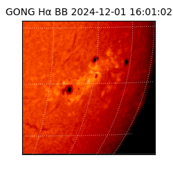 gong - 2024-12-01T16:01:02