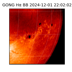 gong - 2024-12-01T22:02:02