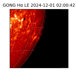 gong - 2024-12-01T02:00:42