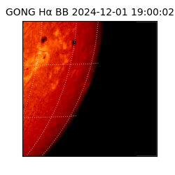 gong - 2024-12-01T19:00:02